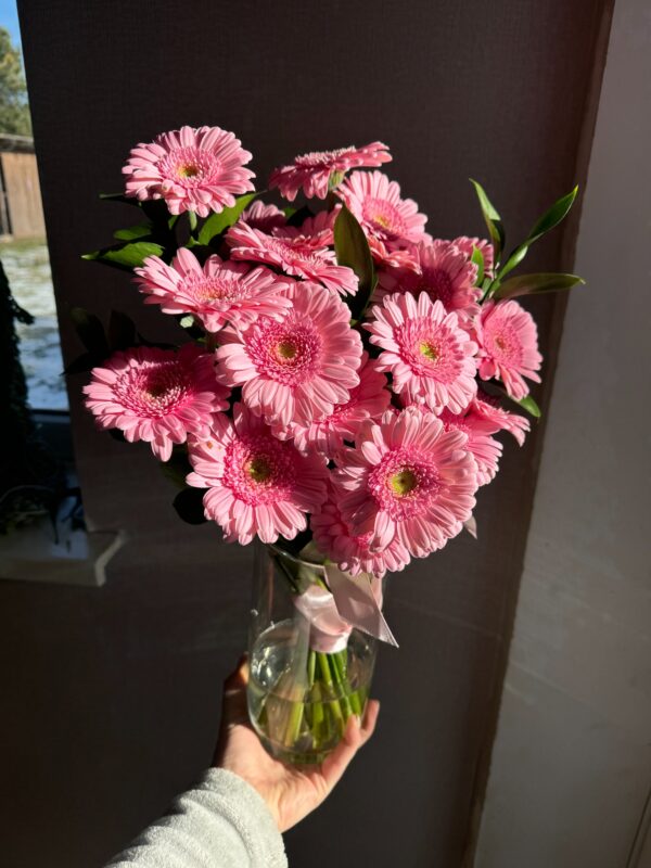 Rozā gerberas