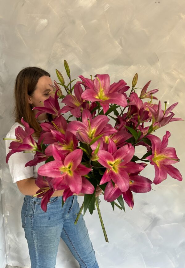 Rozā lilijas